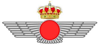 Ejército del Aire